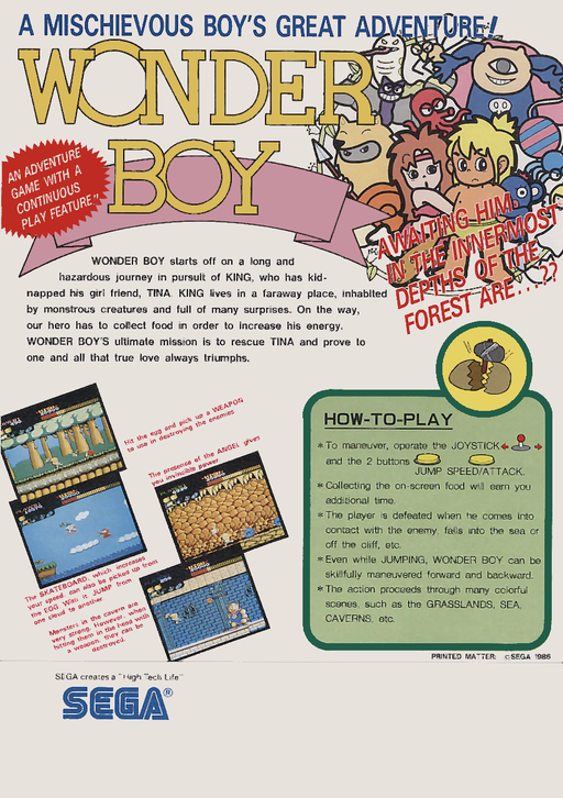 Wonder Boy (set 3, 315-5135) Arcade Game Cover